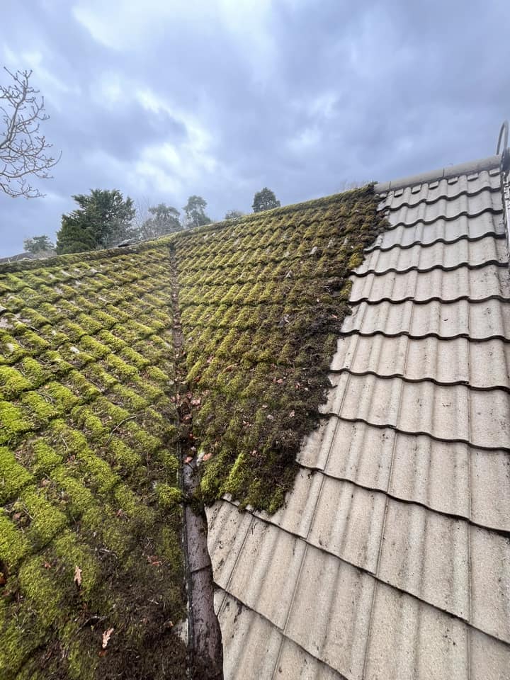 Roof Cleaning Southampton