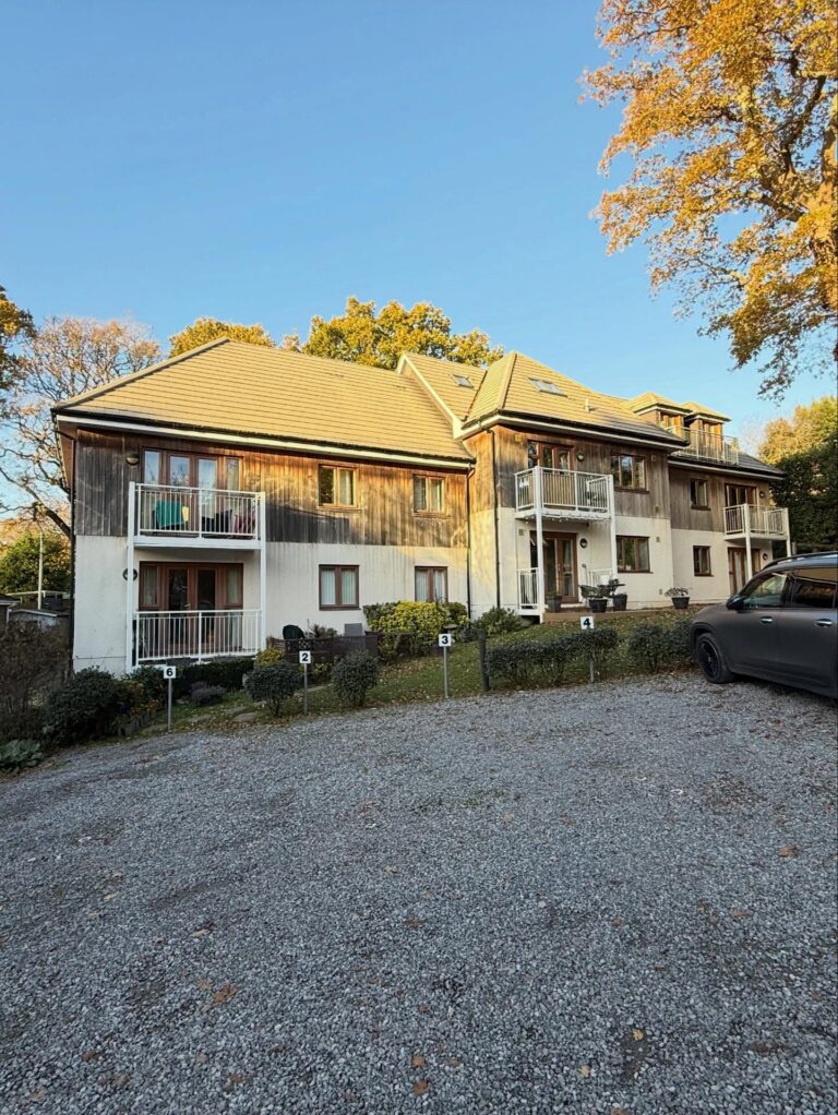 585183787_17954809077025940_2386420828255357109_n